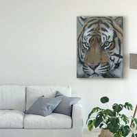 Védjegy Szépművészet 'Szumátra Tiger Face 2011' Canvas Art készítette: Pip McGarry