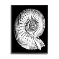 Stupell Industries Spiral Sea Life Beach Shell modern fraktál grafikus művészet fekete keretes művészet nyomtatott