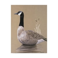 Védjegy Szépművészet „Lone Goose” vászon művészete, Rusty Frentner