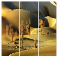 Elegáns Otthon Arany Sivatag Készlet Csomagolva Vászon Fal Művészet