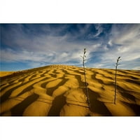 Posterazzi dpi Szahara sivatag Tunézia Afrika Poszter Nyomtatás, 12