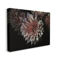 A Stupell Industries idős virágok ívelt sziromok rózsaszín fekete fénykép vászon fali művészeti tervezés, Elise Catterall,