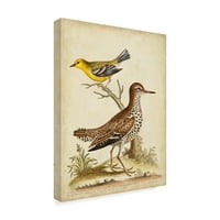Védjegy Szépművészet 'Antik Bird Menagerie I' Canvas Art készítette: George Edwards