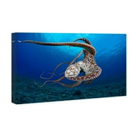 Wynwood Studio tengeri és Parti fal művészeti vászon nyomatok 'Day Octopus Hawaii David Fleetham' Tengeri Élet-Kék,