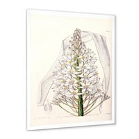 Designart 'White Vintage Orchid I' hagyományos keretes művészeti nyomtatás